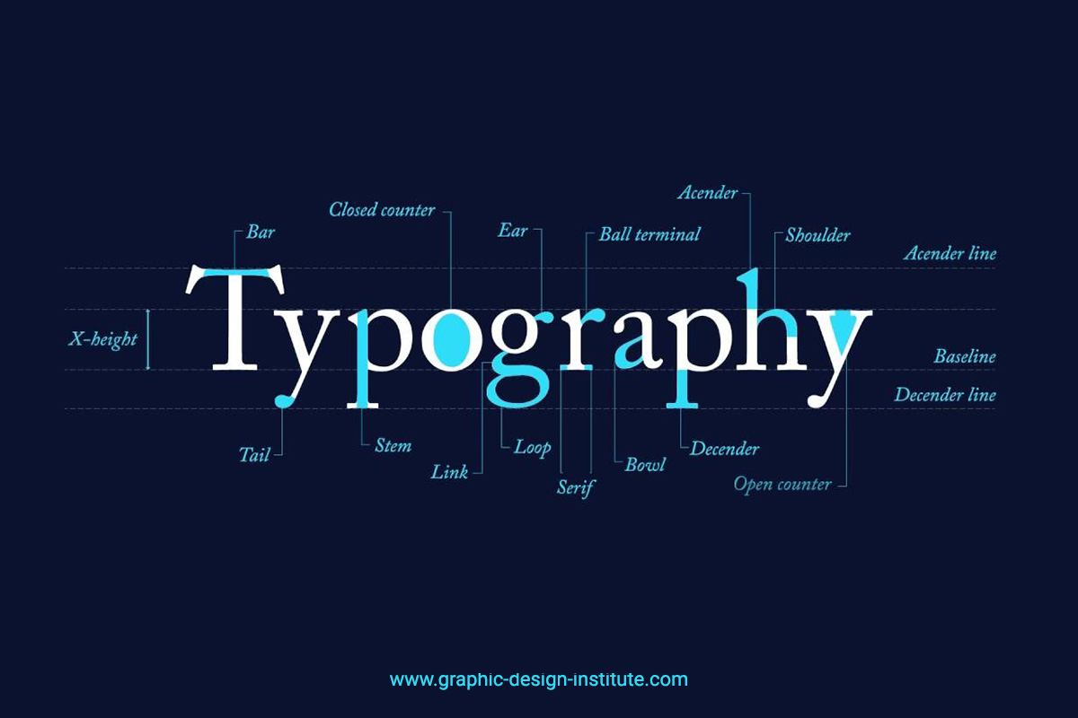 Anatomy of Typography for Designers Anatomy of Typography for Designers